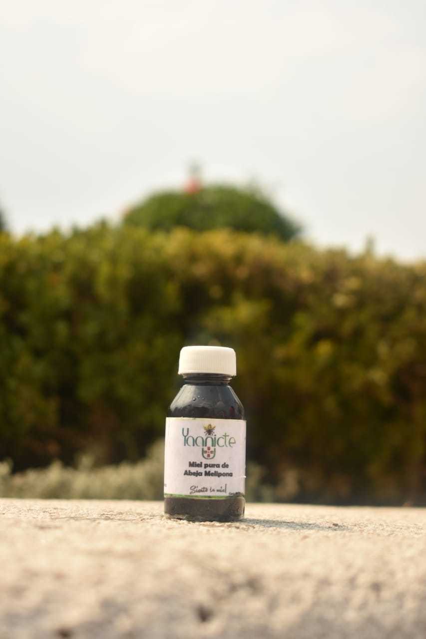 Jarabe (Miel-Propéleo)