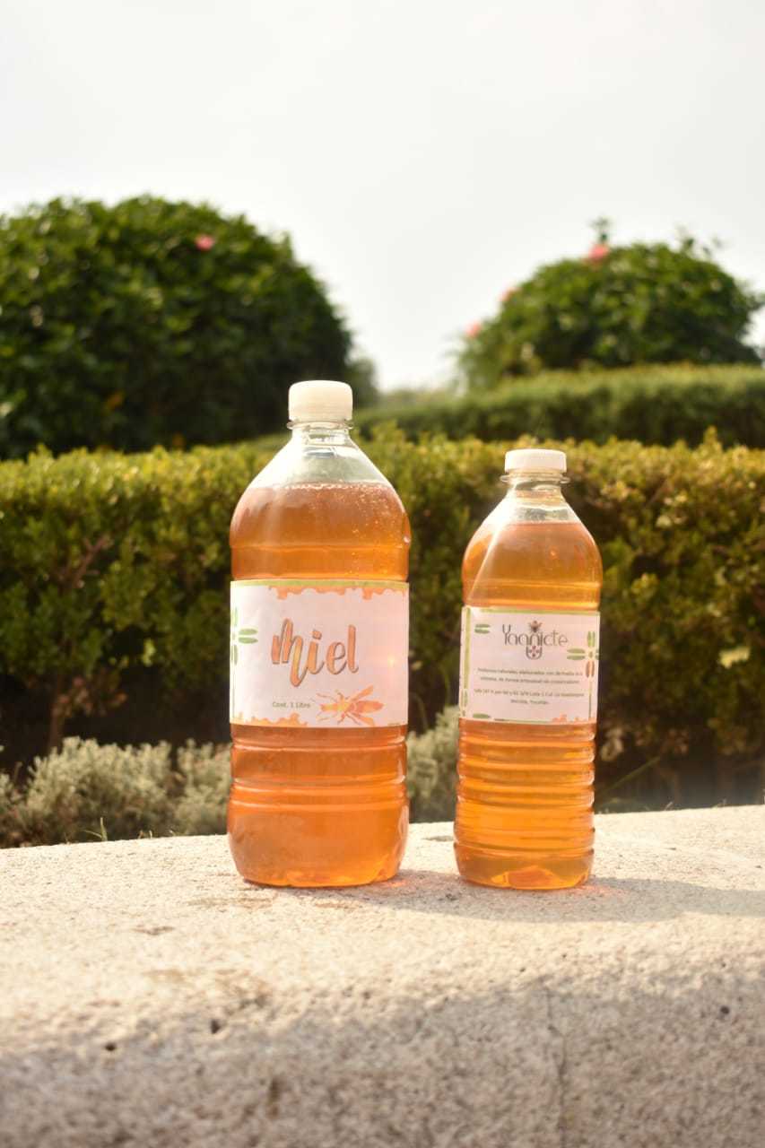 Miel (melipona) 